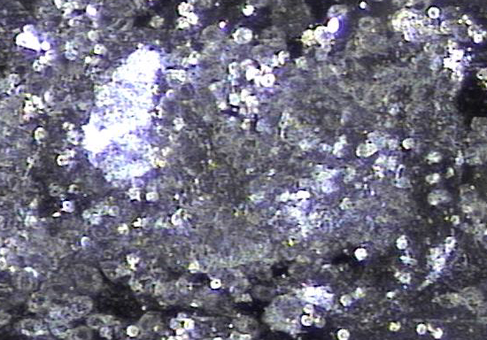 c369916fdeea8c4e92375daa96de95cb_1741856436_9226.png