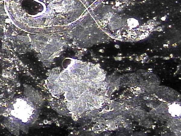 09b577a996152ea7e05c687cf453e021_1743384782_375.png