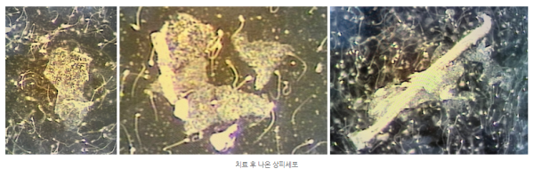 665a53cf72b596bcc54f71feb9a18e30_1741612462_6934.png