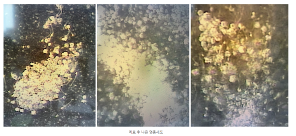 665a53cf72b596bcc54f71feb9a18e30_1741612462_8538.png