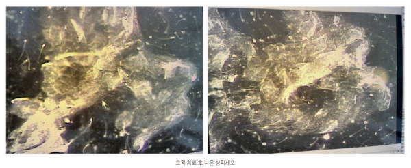 665a53cf72b596bcc54f71feb9a18e30_1741612594_3192.png