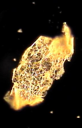 b552e751b315807b70415e2085de90bd_1746002484_0927.png