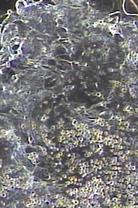 f762ad3544700514af0ddcd3e5d0eb44_1746527400_4407.png