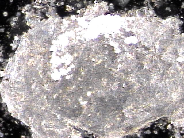 867b2fd9cf0d18d9b3941e224a123c61_1747379366_6459.png