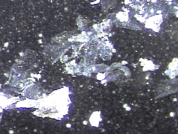 867b2fd9cf0d18d9b3941e224a123c61_1747382668_6319.png
