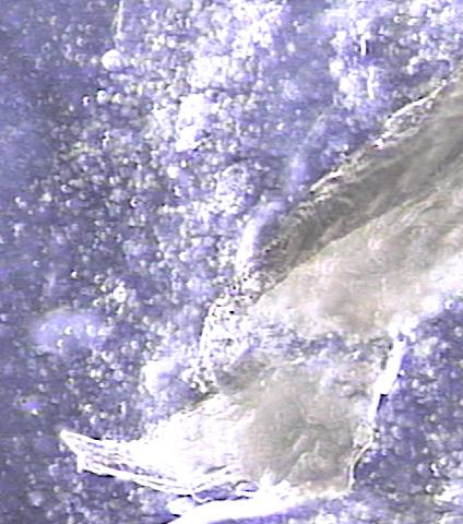a67b7ae04c7829c94f85f9d028696a41_1749698060_4294.png
