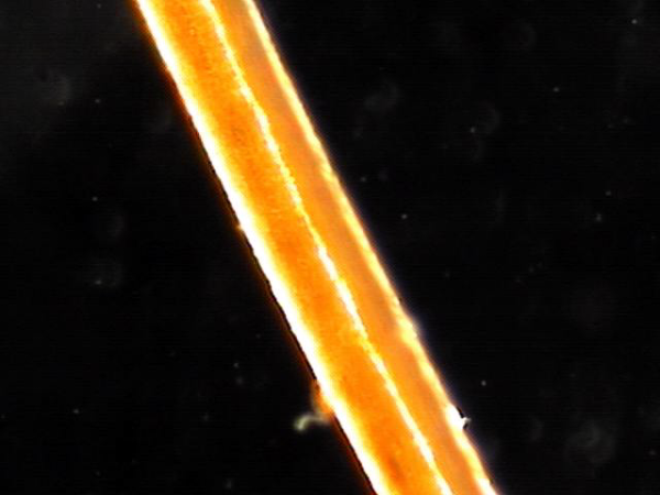 42a0200c15f48813b5e77b7622f277f9_1749180104_6985.png