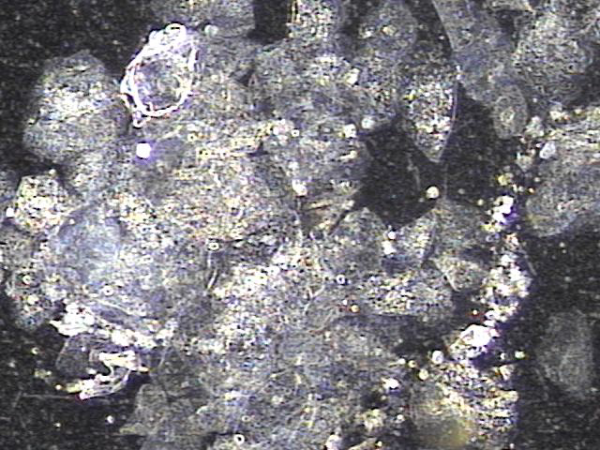85ffa36601d74ae3cd56c85ce721c438_1750732215_4952.png