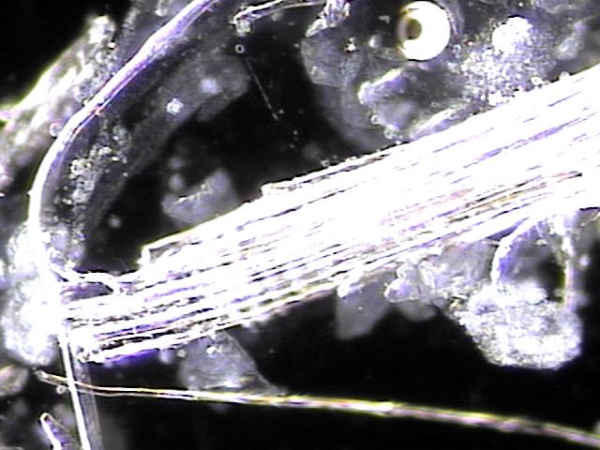 df72195a0262f8bee677800bd7b08e96_1750322792_6281.png