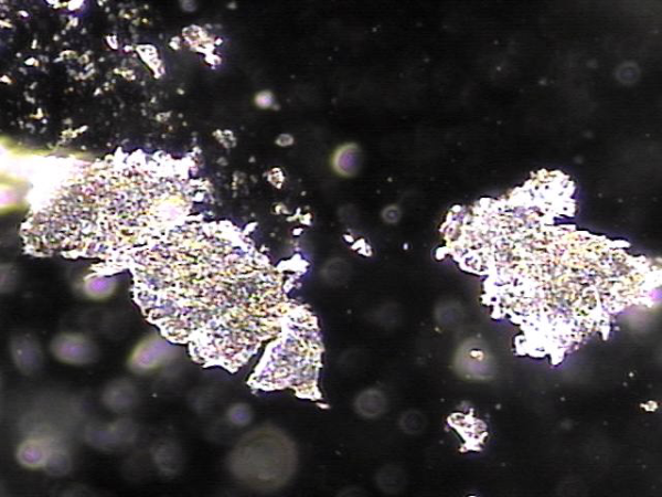 d8b4ab6a4a45b257306a394b692b3212_1753347479_7258.png