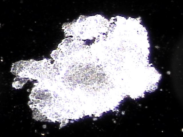 cd4d6a399e1af79f0c437eccb12aef54_1755080875_989.png