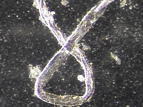 29b0bda315760ed5a9dde1984f232fe1_1759199712_6359.png