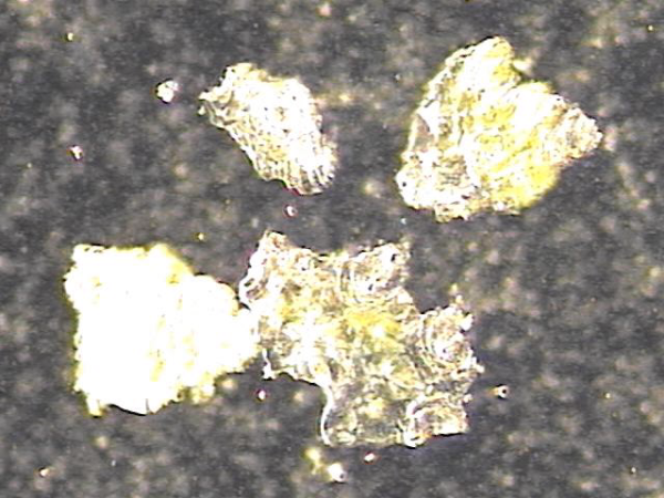5c01a860a0338dd902b001ffe3c21347_1759041976_0275.png