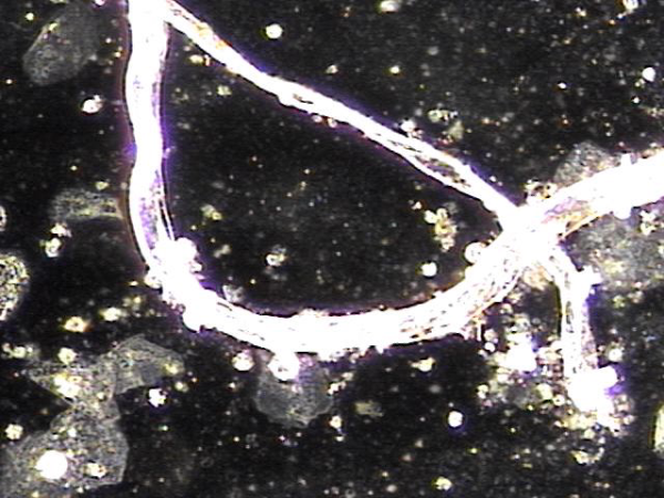 6a886da0f5ea245b67855b3a52c84d2e_1757316346_505.png