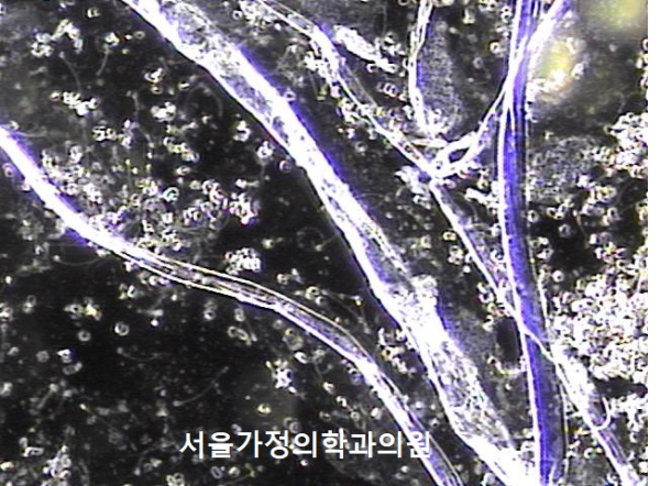 89c5e85cfd7f80af36437af0898133fe_1759639420_9026.png